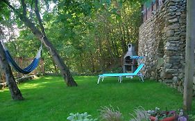 B&B Al Carotin